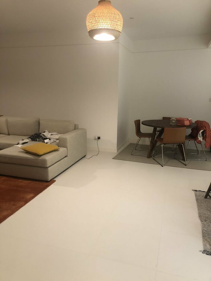 32 fotos de gatos muito bem escondidos 6