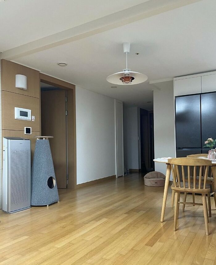 32 fotos de gatos muito bem escondidos 7