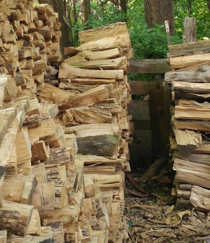 32 fotos de gatos muito bem escondidos 8