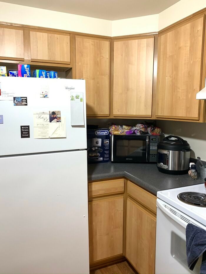 32 fotos de gatos muito bem escondidos 10