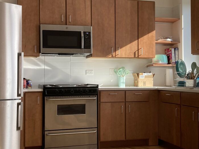 32 fotos de gatos muito bem escondidos 12