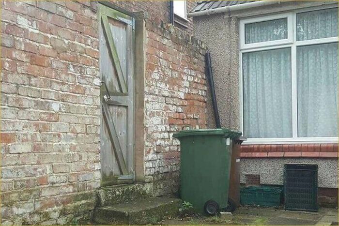 32 fotos de gatos muito bem escondidos 18