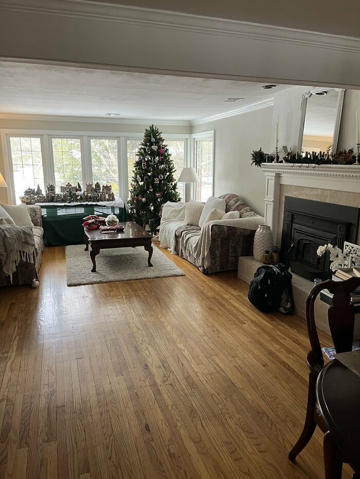 32 fotos de gatos muito bem escondidos 20