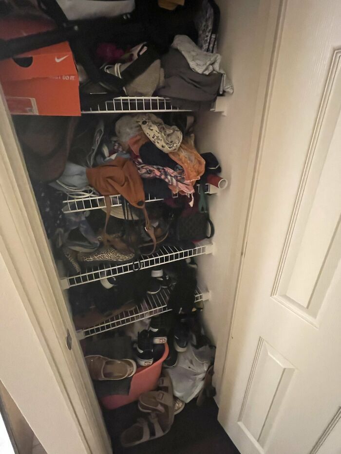 32 fotos de gatos muito bem escondidos 21