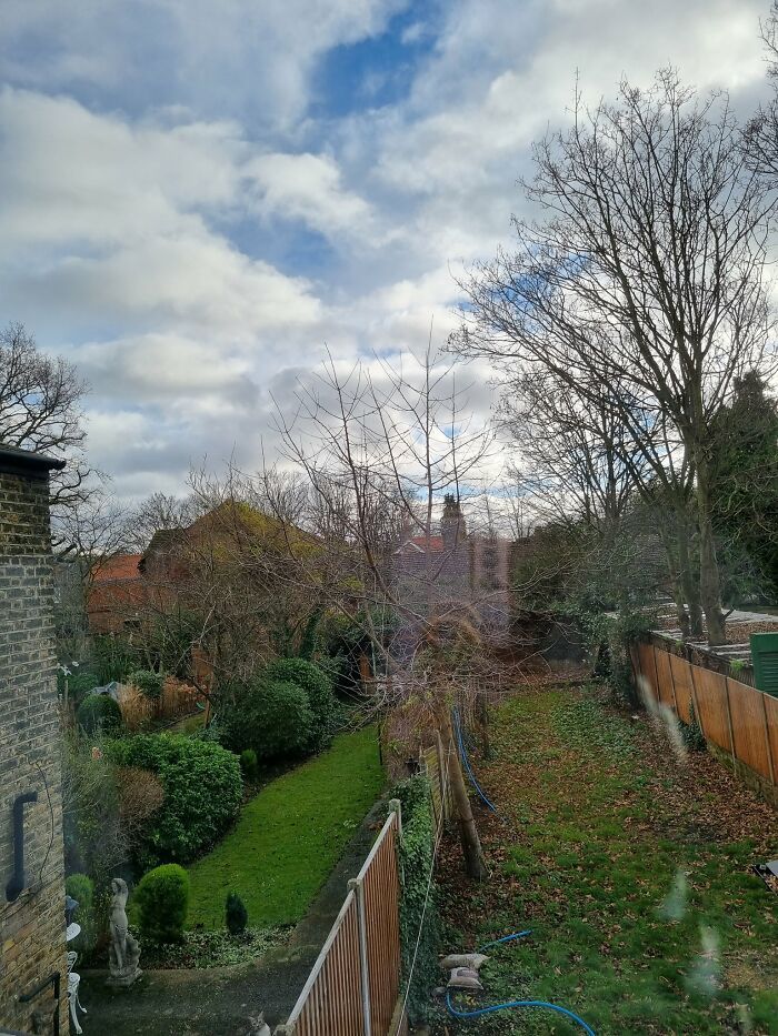 32 fotos de gatos muito bem escondidos 23