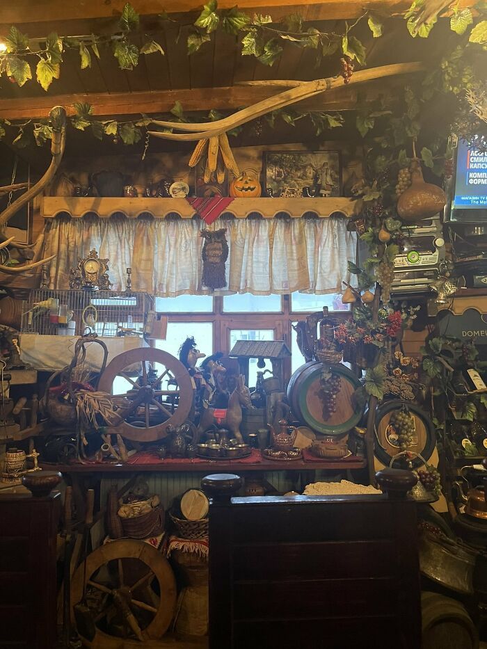 32 fotos de gatos muito bem escondidos 25