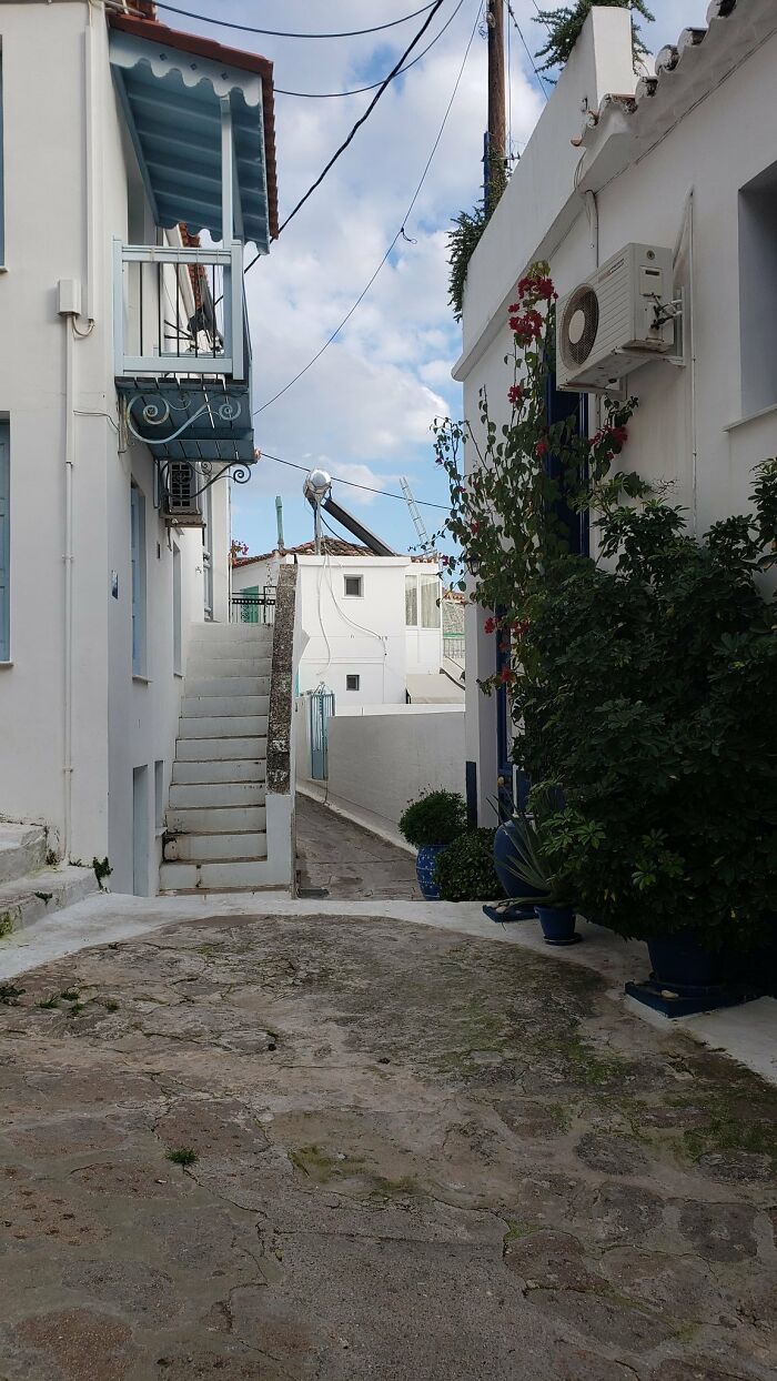 32 fotos de gatos muito bem escondidos 26