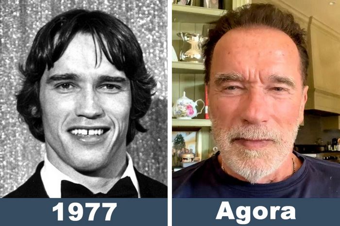 Antes e Agora: 10 ídolos de filmes de ação 6