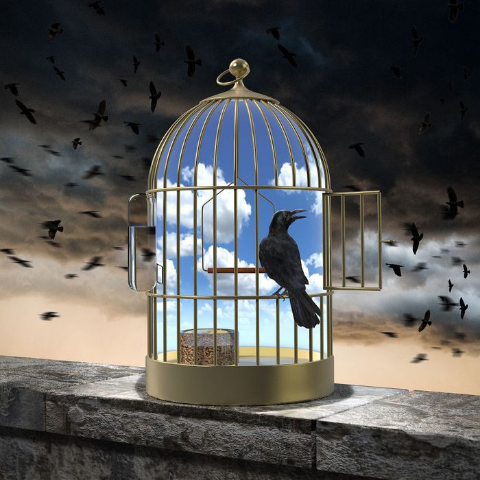 27 ilustrações polêmicas que fiz para a revista polonesa Polityka 15