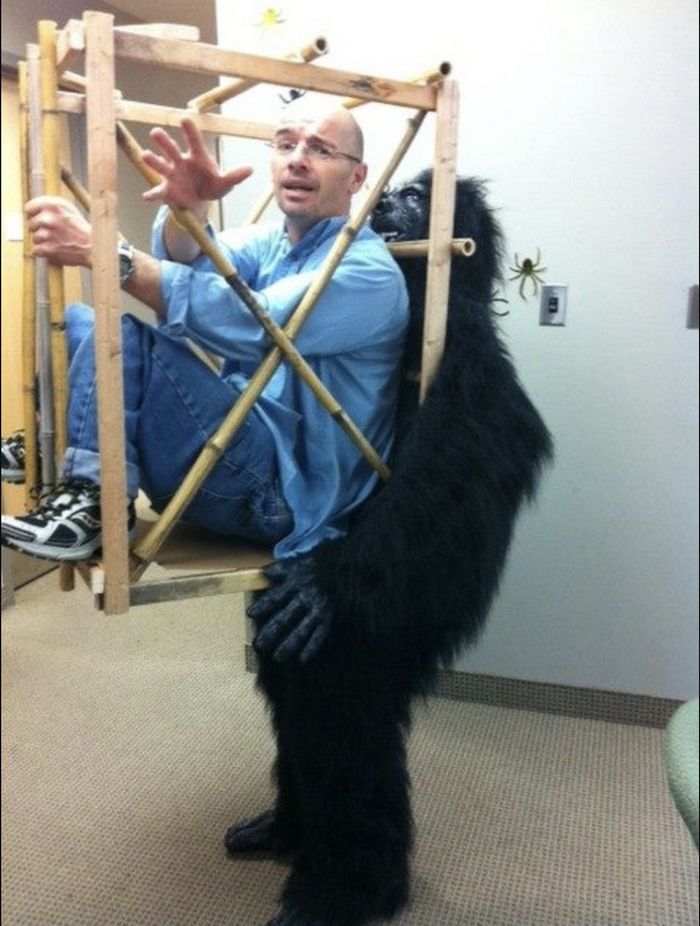 17 mentes brilhantes que sabem exatamente como viver esta vida 6