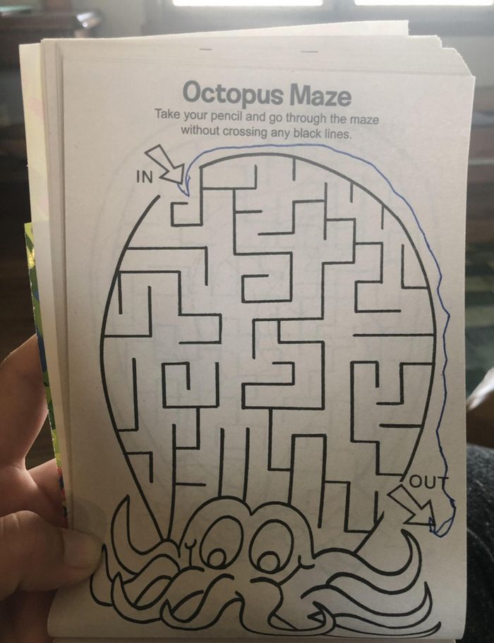 17 mentes brilhantes que sabem exatamente como viver esta vida 8