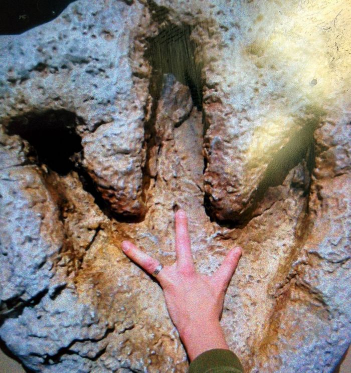 16 pessoas e animais únicos que nasceram para se destacar 15