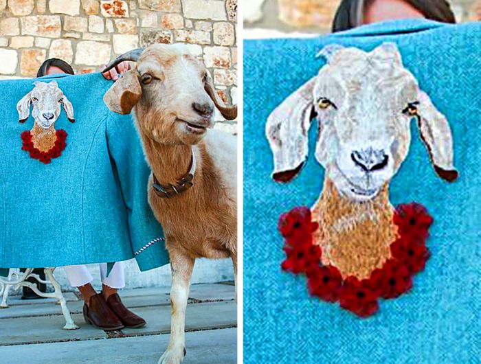 18 pessoas talentosas que nos fizeram gritar: “Mostre isso para o mundo inteiro!” 3