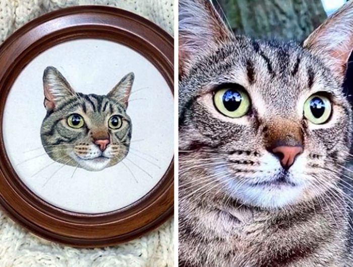 18 pessoas talentosas que nos fizeram gritar: “Mostre isso para o mundo inteiro!” 15