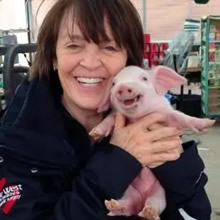 Porcos podem ser muito sociáveis ​​e amorosos também e essas 40 fotos provam isso