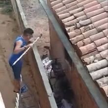 Roubando churrasco do vizinho