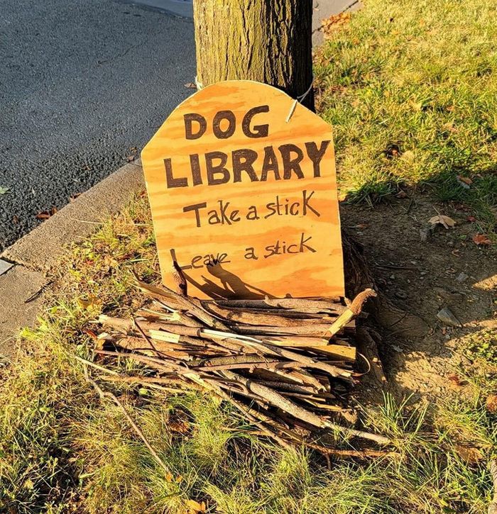 16 vezes em que a amizade e a bondade superaram todas as barreiras 4