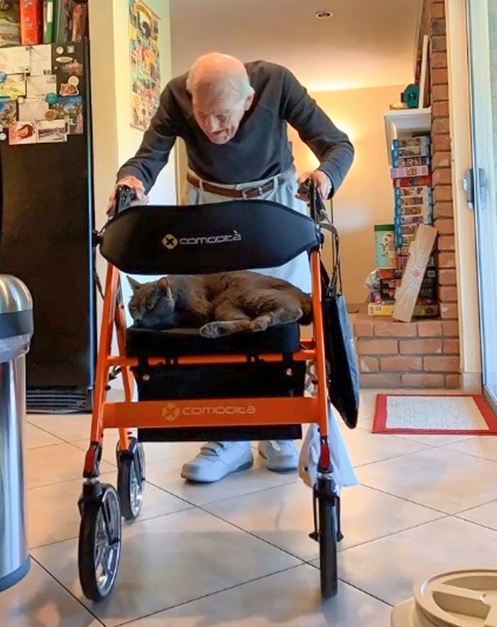 16 vezes em que a amizade e a bondade superaram todas as barreiras 5