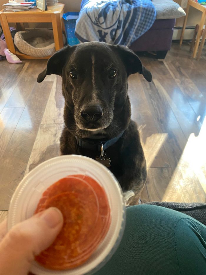 16 vezes em que a amizade e a bondade superaram todas as barreiras 6