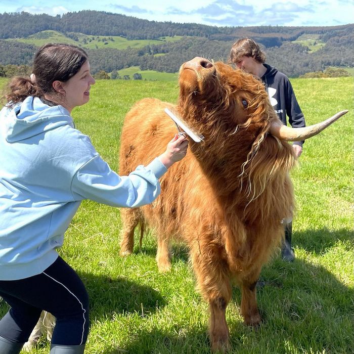 16 vezes em que a amizade e a bondade superaram todas as barreiras 7