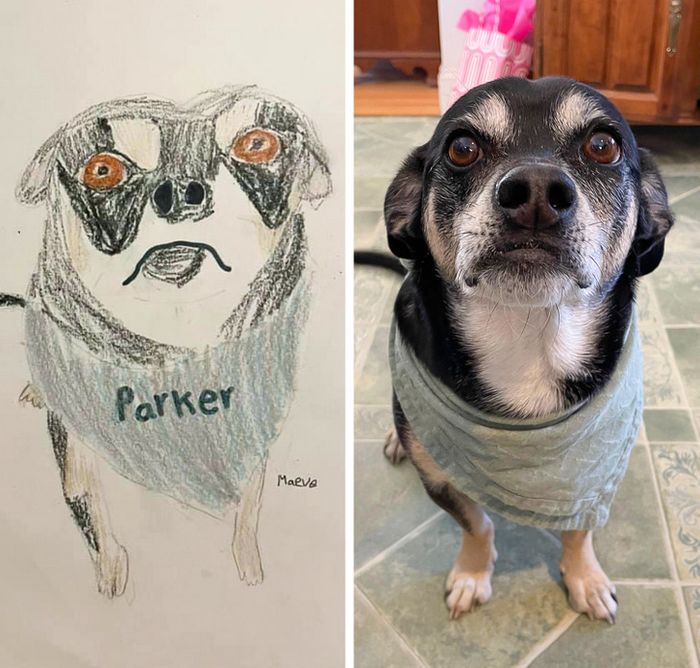 16 vezes em que a amizade e a bondade superaram todas as barreiras 8