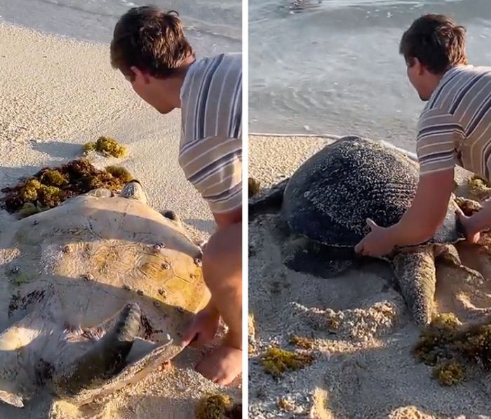 16 vezes em que a amizade e a bondade superaram todas as barreiras 9