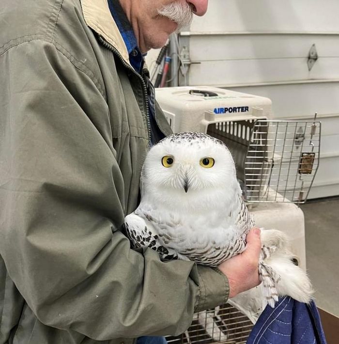 16 vezes em que a amizade e a bondade superaram todas as barreiras 11