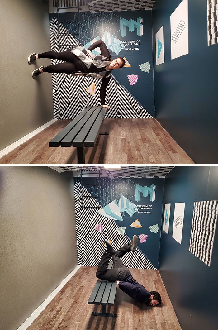 35 vezes que as pessoas provaram que museus e galerias podem ser muito divertidos 8