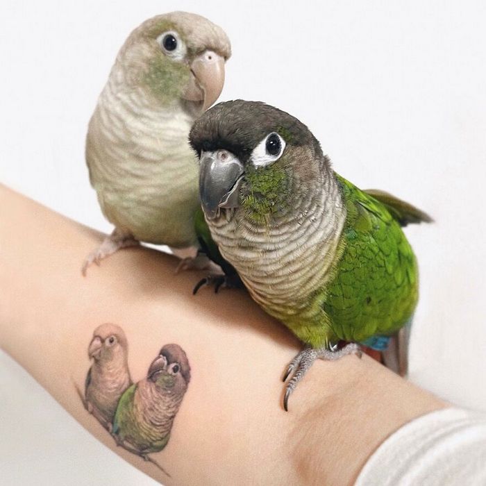 Artista coreana cria belas tatuagens que parecem pinturas em aquarela (42 fotos) 25