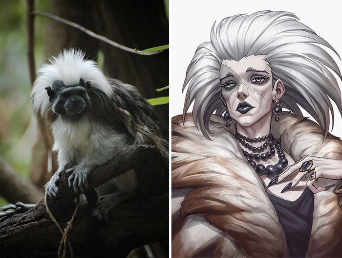 Artista coreano transforma animais em personagens de anime, mantendo suas características (17 fotos) 11