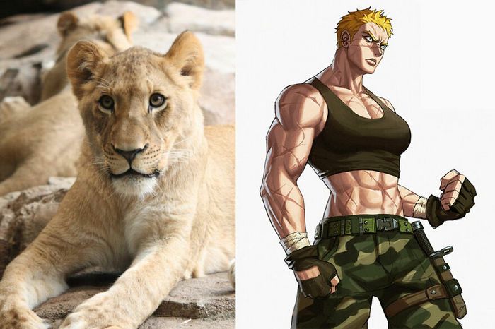 Artista coreano transforma animais em personagens de anime, mantendo suas características (17 fotos) 13