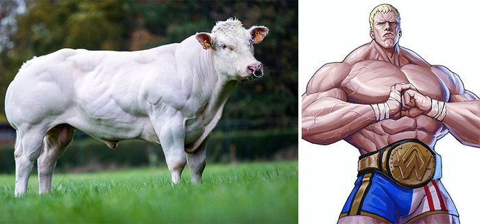 Artista coreano transforma animais em personagens de anime, mantendo suas características (17 fotos) 15