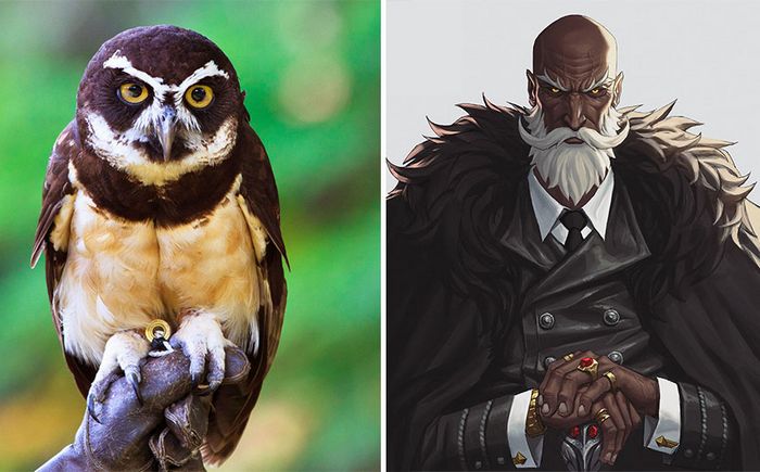 Artista coreano transforma animais em personagens de anime, mantendo suas características (17 fotos) 17