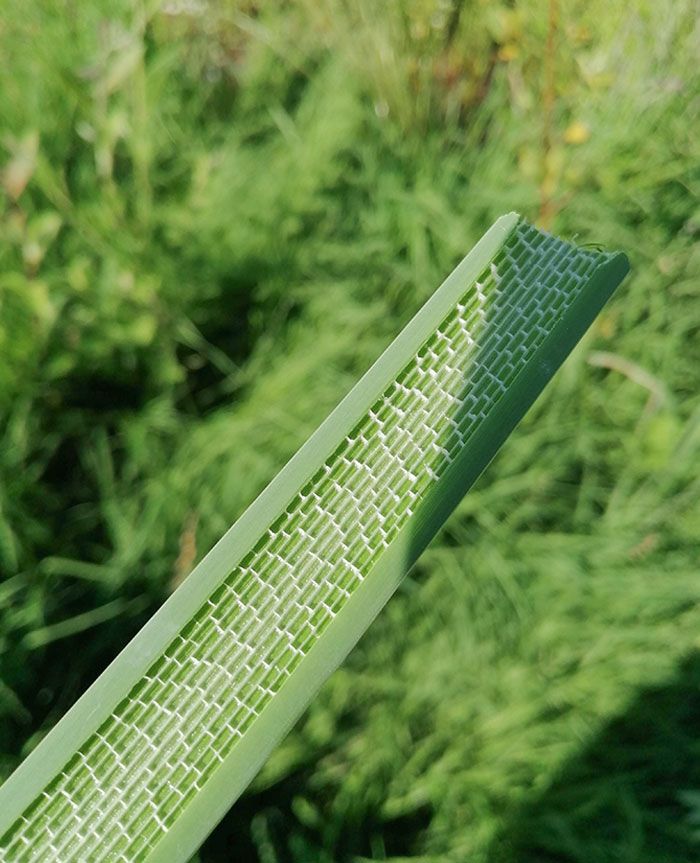 50 exemplos da belíssima simetria geometria da natureza 46