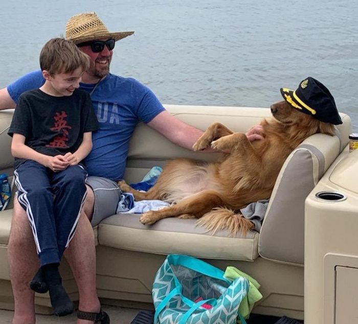 15 fotos de animais que é impossíveis de olhar sem sorrir 8