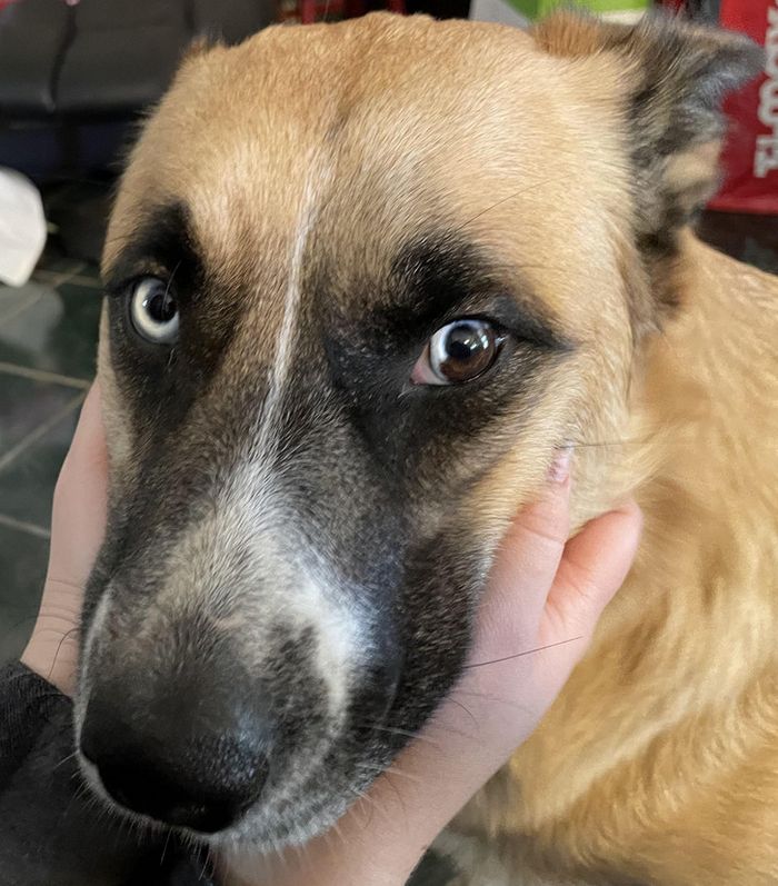 15 fotos mostrando que ser bonito significa ser único 2