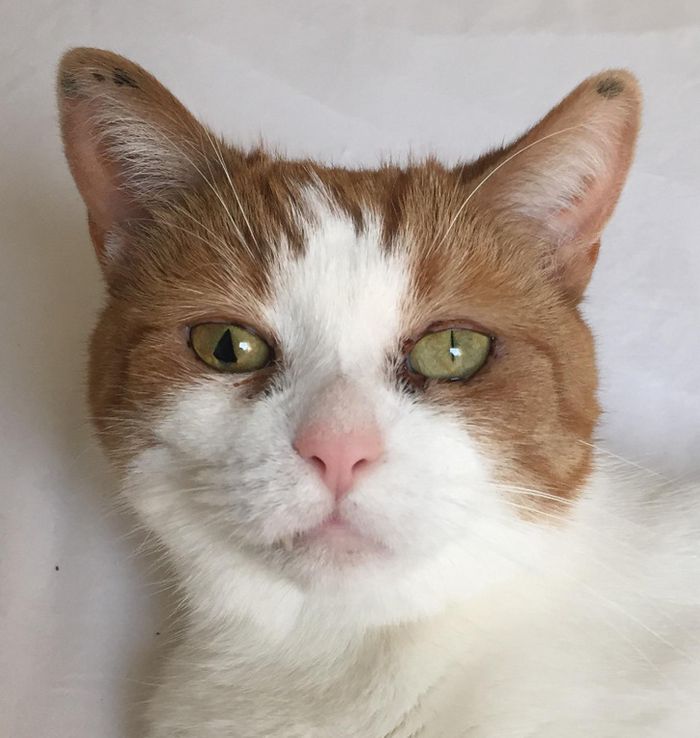 15 fotos mostrando que ser bonito significa ser único 4