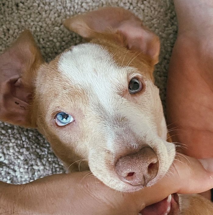 15 fotos mostrando que ser bonito significa ser único 5