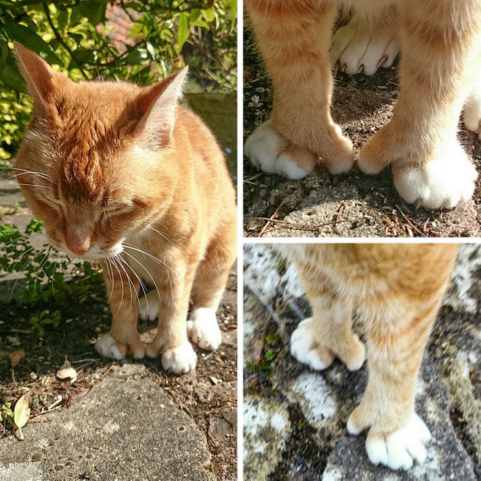 15 fotos mostrando que ser bonito significa ser único 13