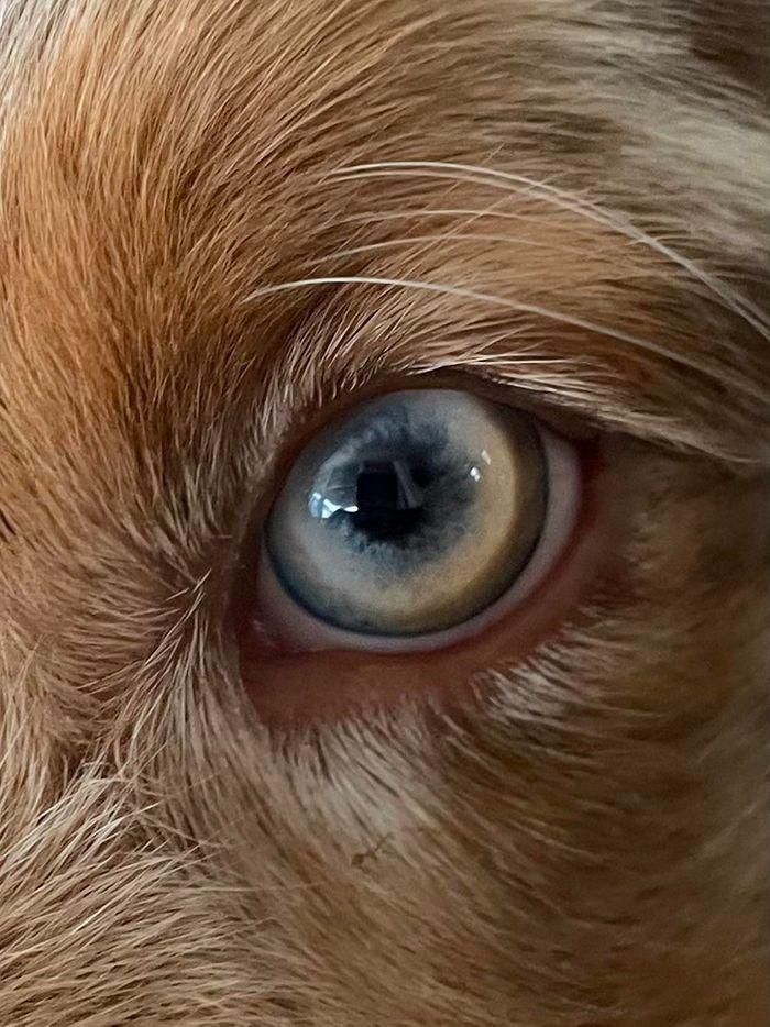 15 fotos mostrando que ser bonito significa ser único 14