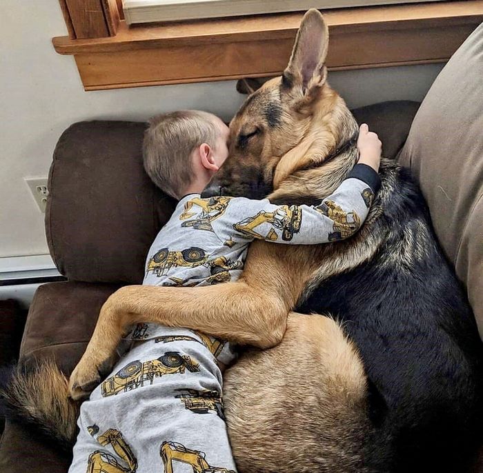 20 fotos que traduzem o amor em sua forma mais genuína 3