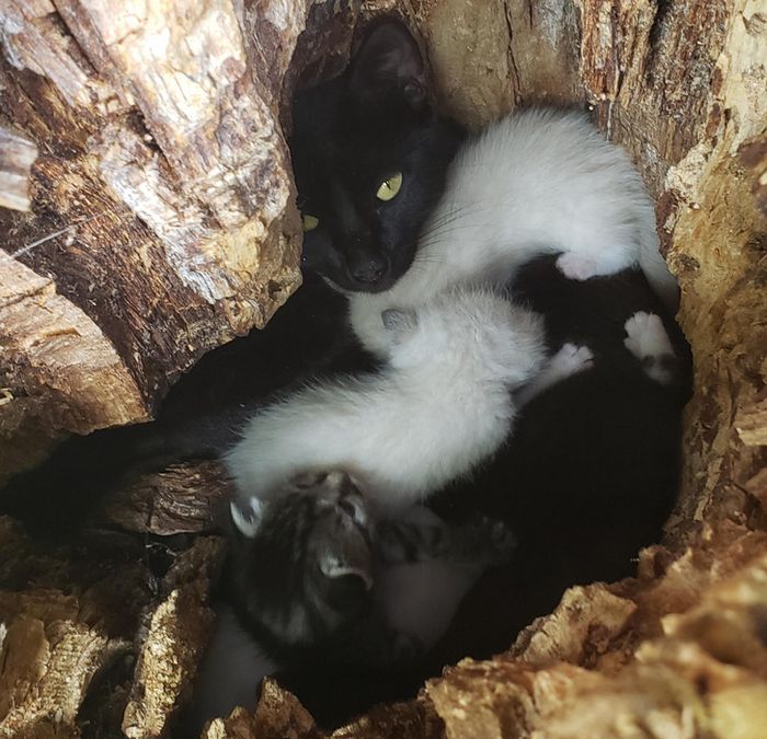 20 fotos que traduzem o amor em sua forma mais genuína 12