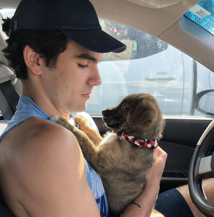 20 fotos que traduzem o amor em sua forma mais genuína 17