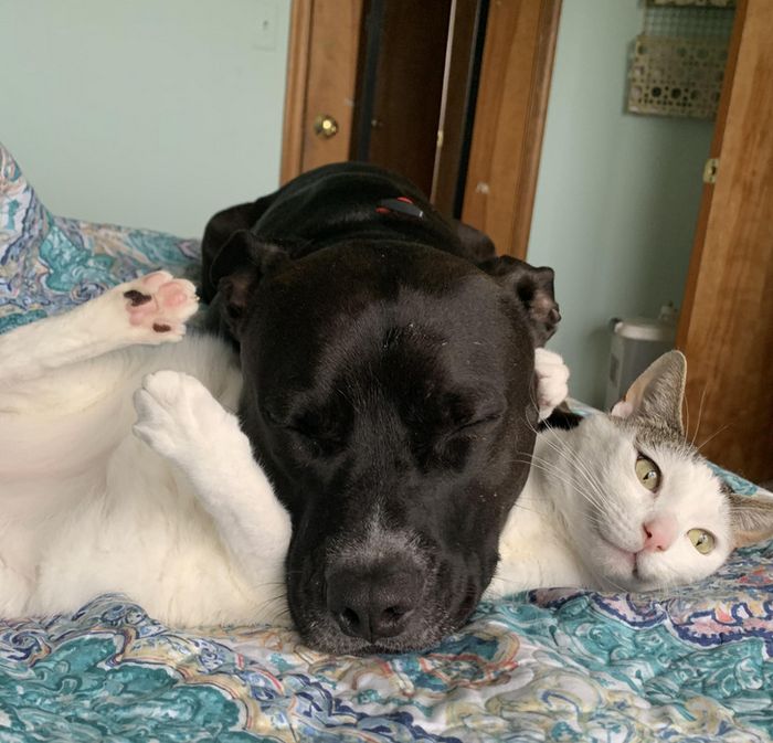 20 fotos que traduzem o amor em sua forma mais genuína 19