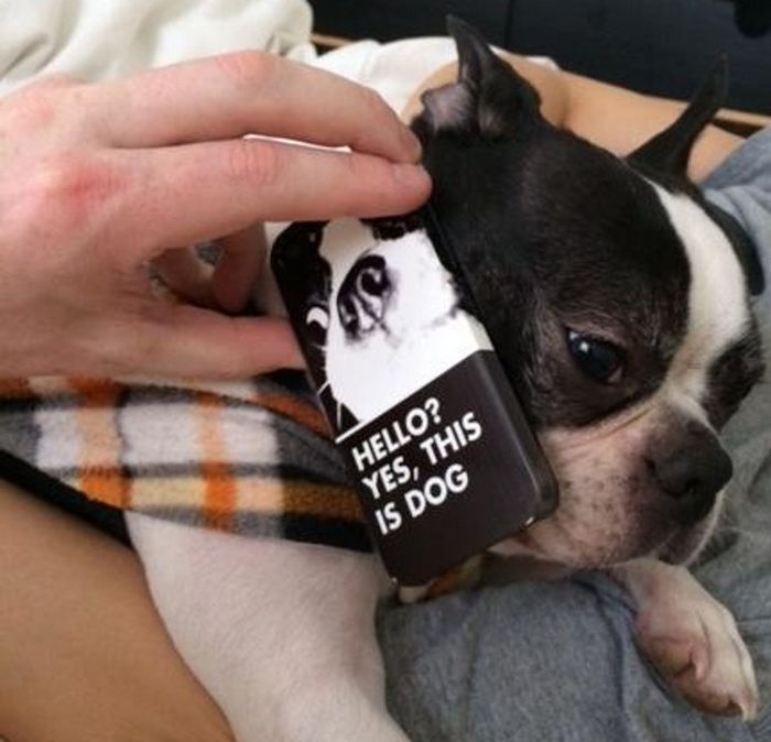 20 fotos que vão aquecer até o coração mais frio 3