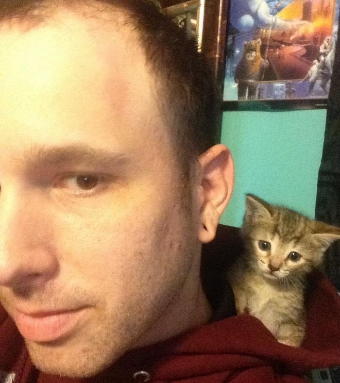 20 fotos que vão aquecer até o coração mais frio 5