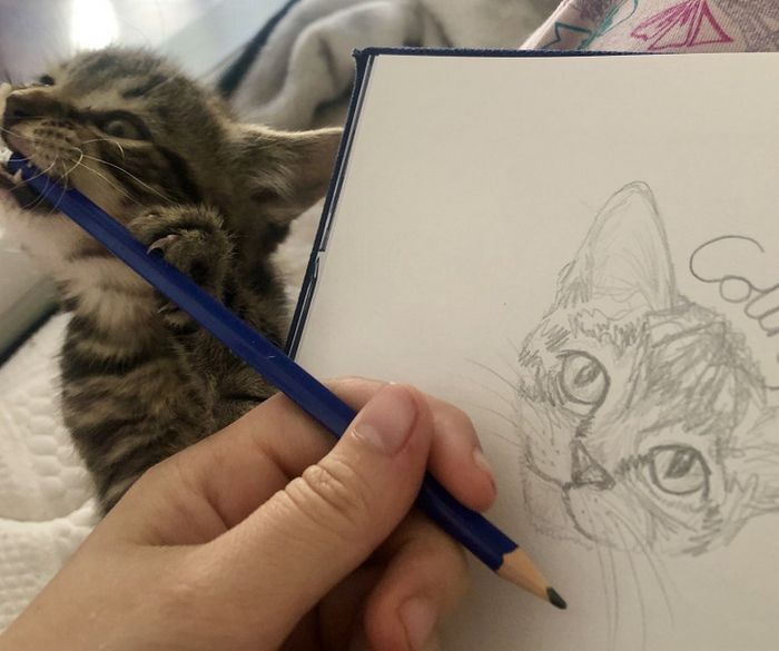 20 fotos que vão aquecer até o coração mais frio 6