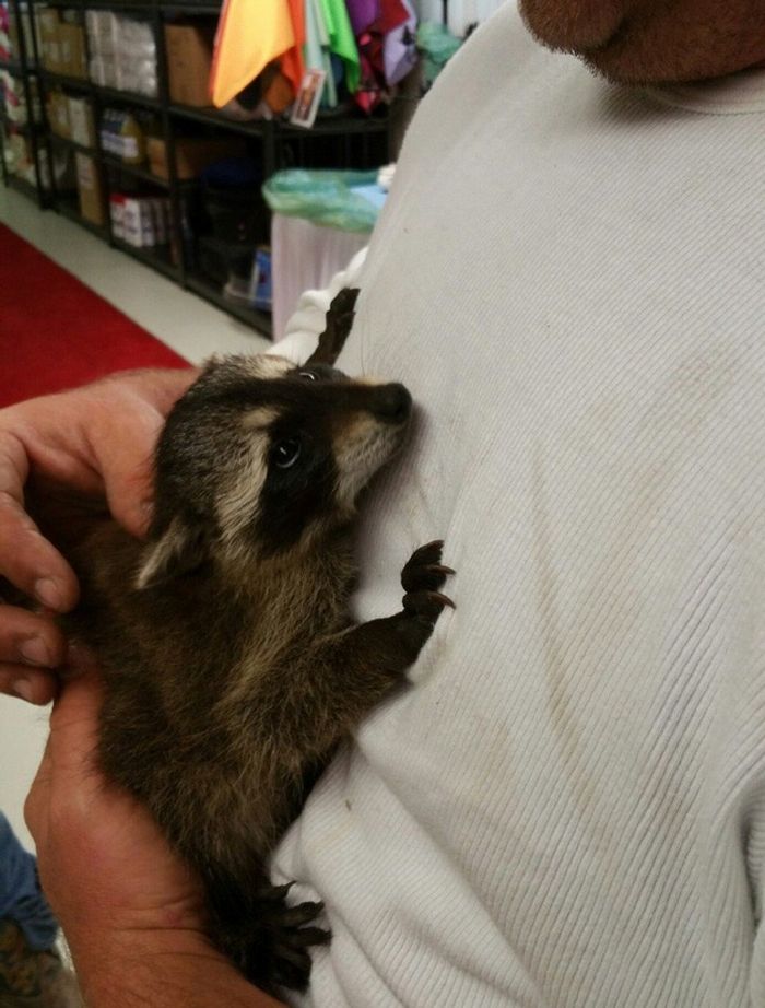 20 fotos que vão aquecer até o coração mais frio 11