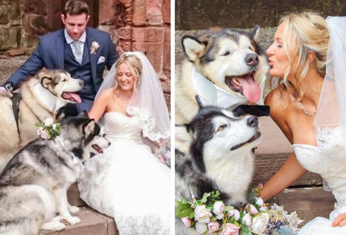 20 fotos que vão aquecer até o coração mais frio 13