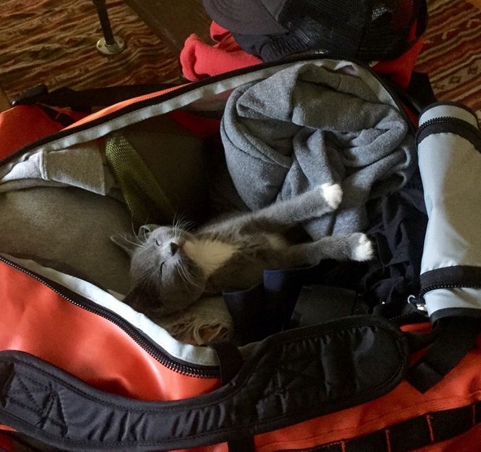 20 fotos que vão aquecer até o coração mais frio 18